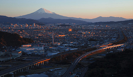 ミカン山の朝