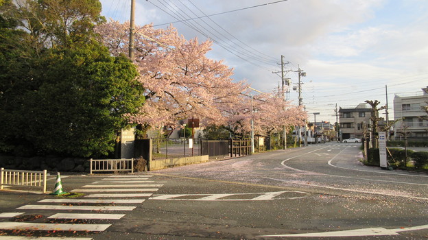 17 04 12 伊勢神宮外宮 豊受大神宮 三重県伊勢市 外宮裏参道 写真共有サイト フォト蔵