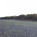 三保の松原（清水区）