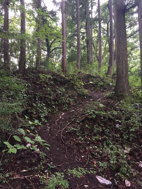 檜原城 西多摩郡檜原村 写真共有サイト フォト蔵