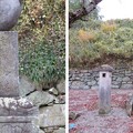 崇福寺（甘楽町小幡）織田信雄墓
