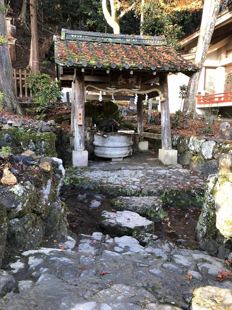 松尾大社（西京区）神泉 亀の井