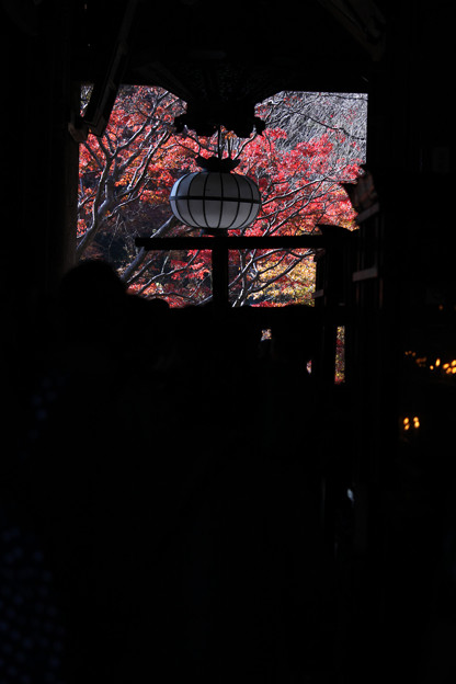 IMG_2257-e01