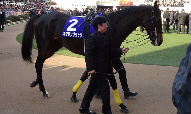 ｷﾀｻﾝﾌﾞﾗｯｸ(5回中山8日 11R 第62回ｸﾞﾗﾝﾌﾟﾘ 有馬記念(GI)出走馬)