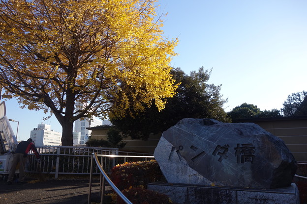 上野 パンダ橋 写真共有サイト フォト蔵