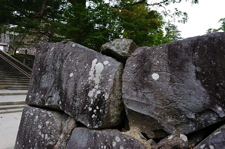 1010190947_DSC_2291