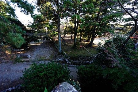 1011231538_DSC_4821