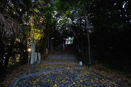 1011231601_DSC_4885