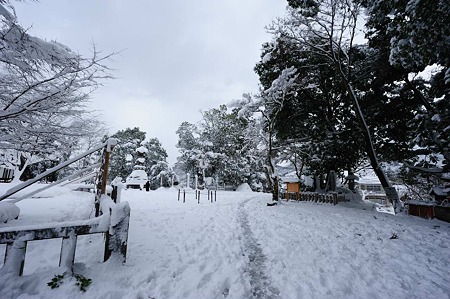 1101011041_DSC_5939