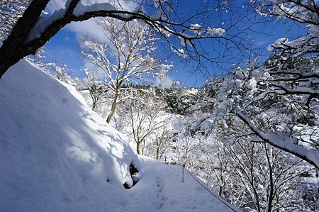 1101011200_DSC_6153