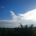 喜界島の雲