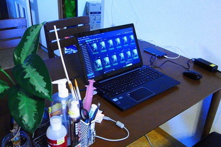 pc