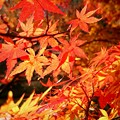 泉自然公園1