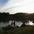 東京 下町 清澄庭園