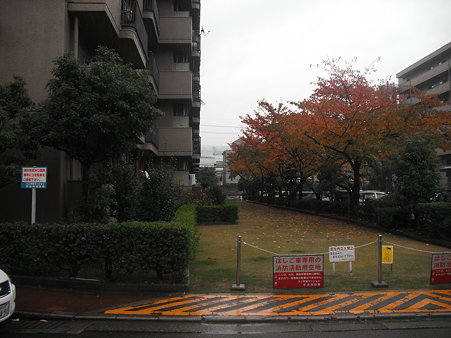 DSCF0574