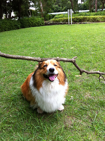 写真 1