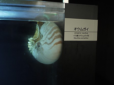 アクアマリンふくしま
