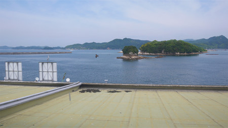 佐世保魚市場・もったいない食堂(3)