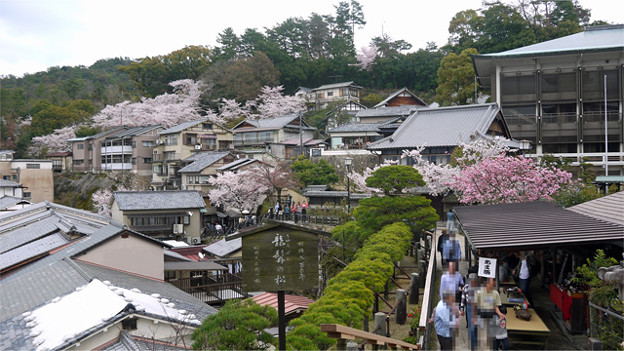 五重塔(5)龍髯の松