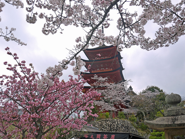 五重塔(4)