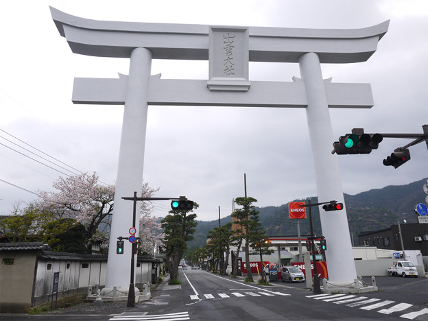 出雲大社(49)神門通りの大鳥居