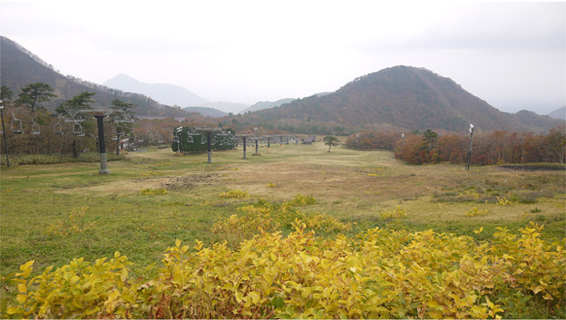 大山の紅葉(8)