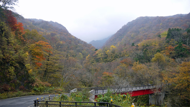 大山の紅葉(4)