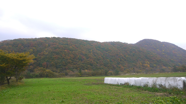 大山の紅葉(1)