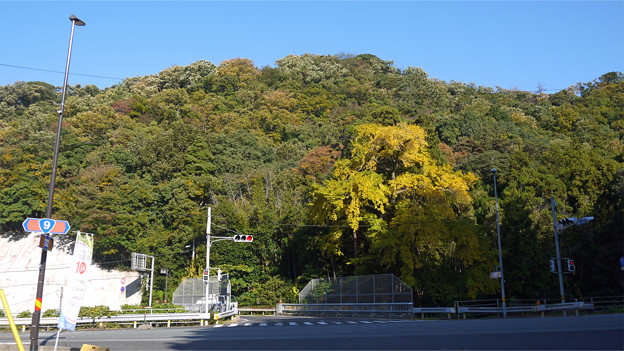温泉津ふれあい館前交差点(2)
