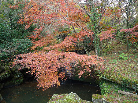 山中渓谷の紅葉
