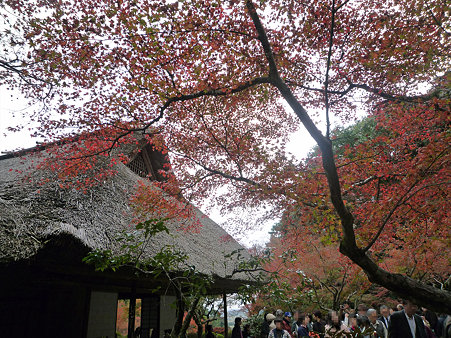 九年庵