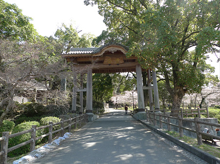 添田公園(1)