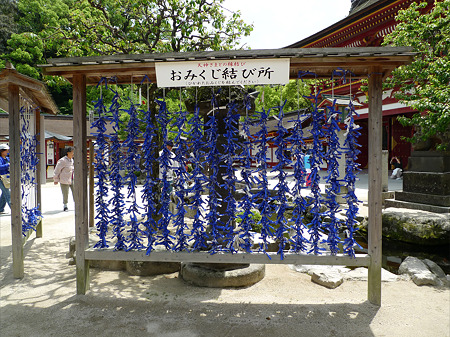 5月の太宰府天満宮(3)