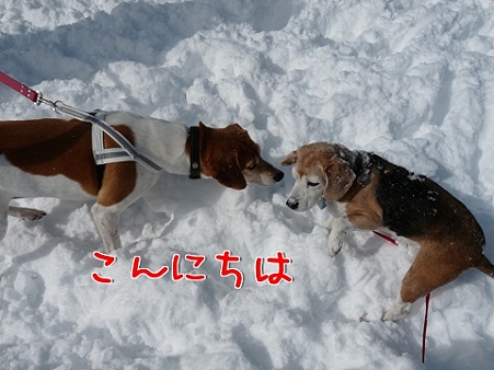 こんにちは