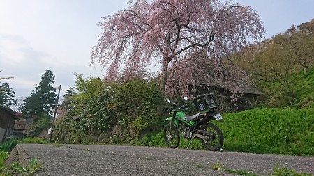 DSC_1406