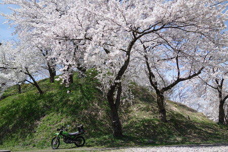 DSC04276