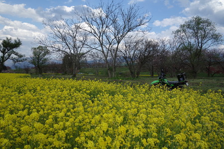 DSC04321