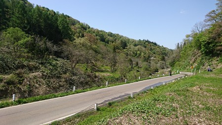 DSC_1686