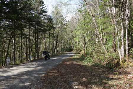 DSC04554