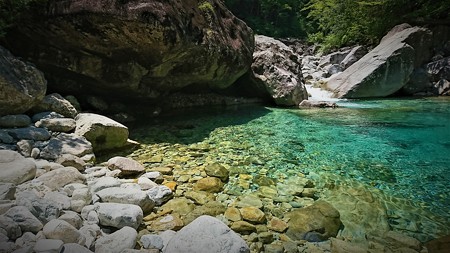 DSC_1971 (2)