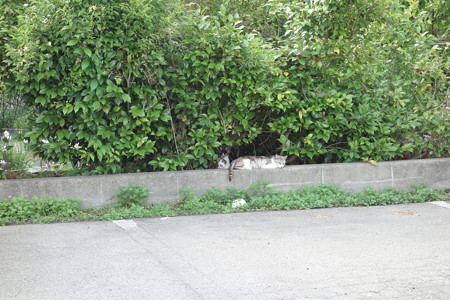 DSC04612