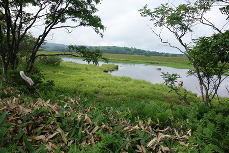 DSC04740