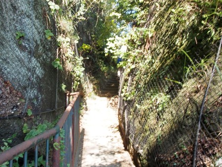 takatoriyama_yokosuka18