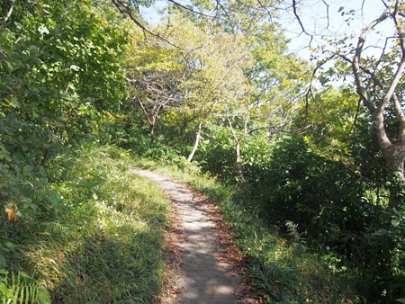 takatoriyama_yokosuka45