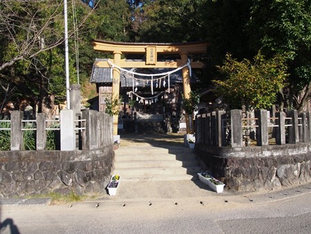 ootaninokusu12