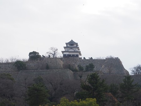 marugamejou02