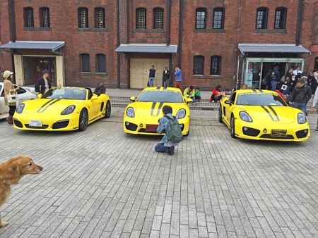 IMG_2060S