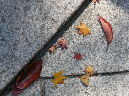 P1020373