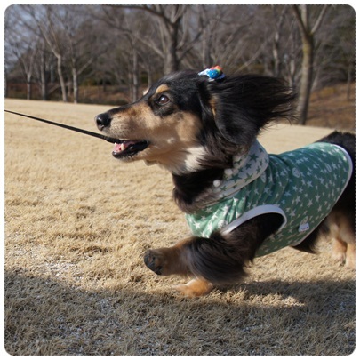 20120303 MARO ラン♪