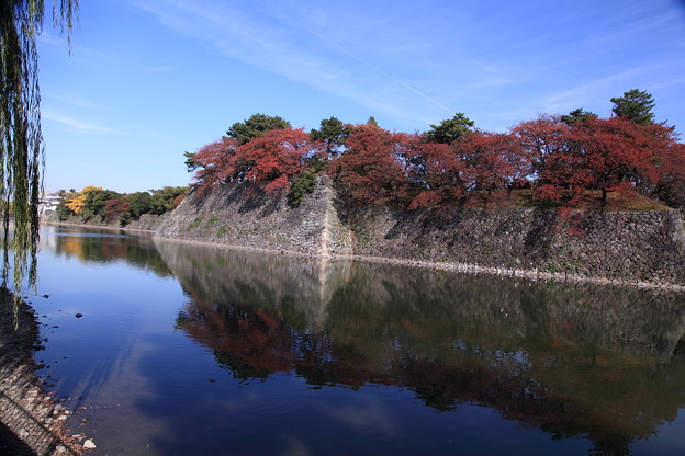 名古屋城のお堀と紅葉 写真共有サイト フォト蔵